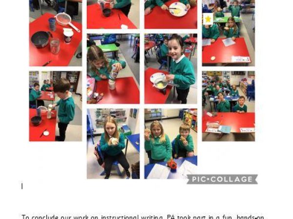 P4 Literacy